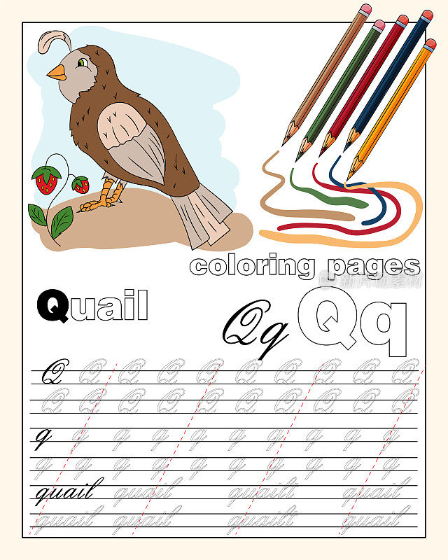 color_17_illustration of the English alphabet page with animal drawings with a line for writing English letters